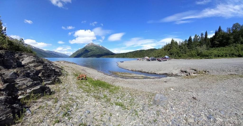 Oyster Lady Homer, Ak 外观 照片